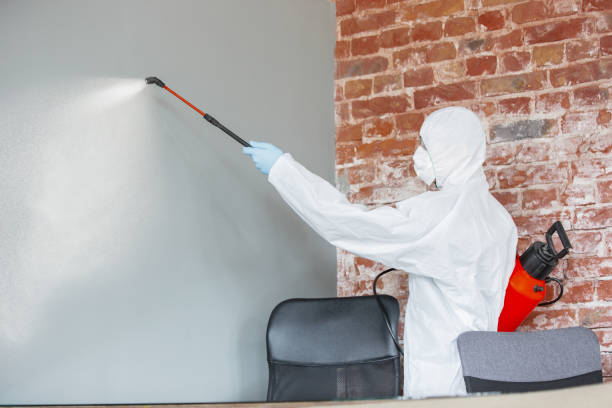  Purdy, WA Mold Removal Pros