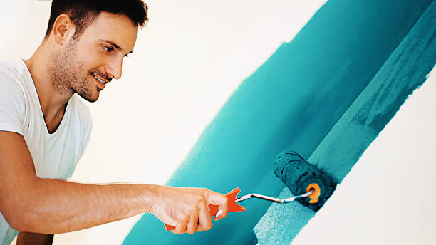 Purdy, WA Mold Removal Company